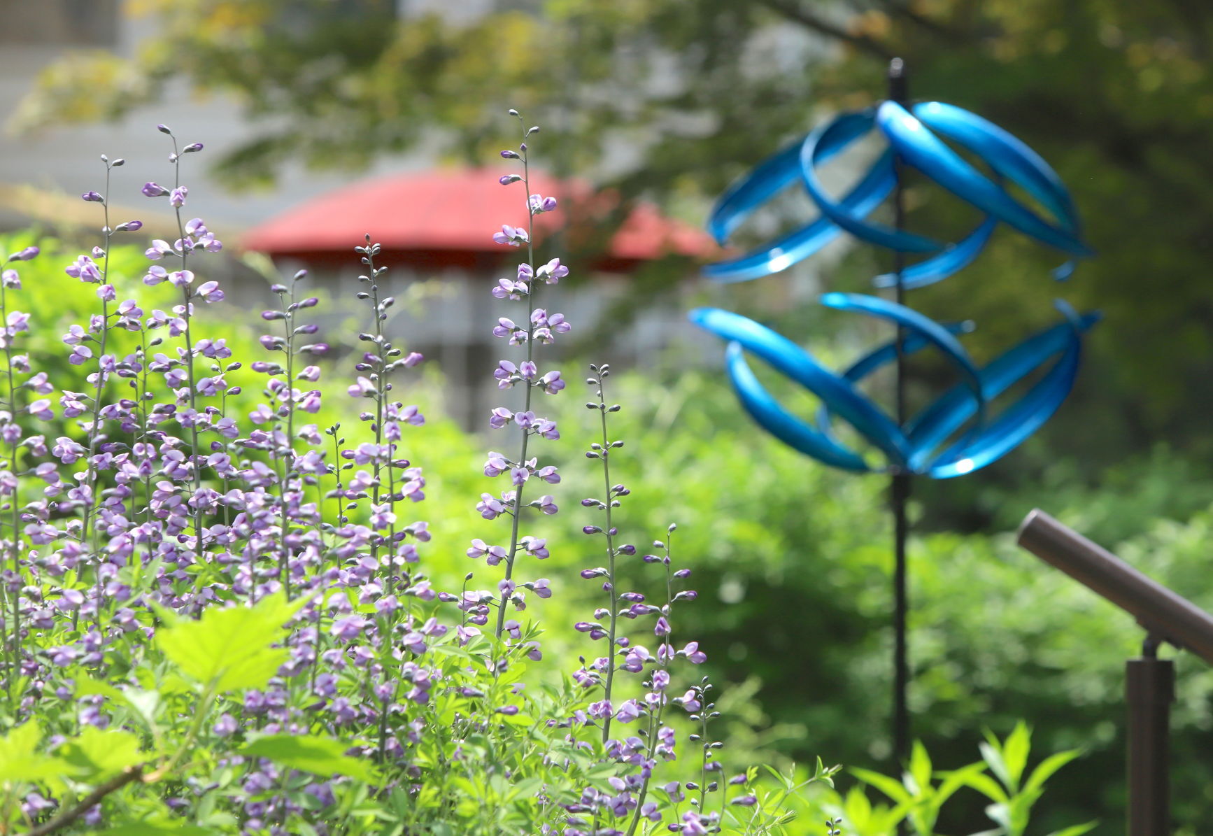 Newark Garden Tour